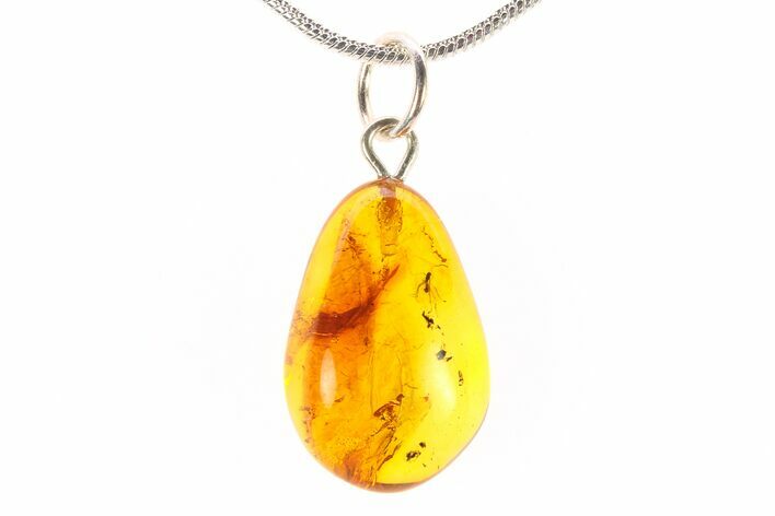 Polished Baltic Amber Pendant (Necklace) - Contains Fly! #288874